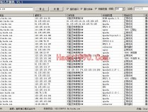 Layer 子域名挖掘机3.1 渗透测试必备 